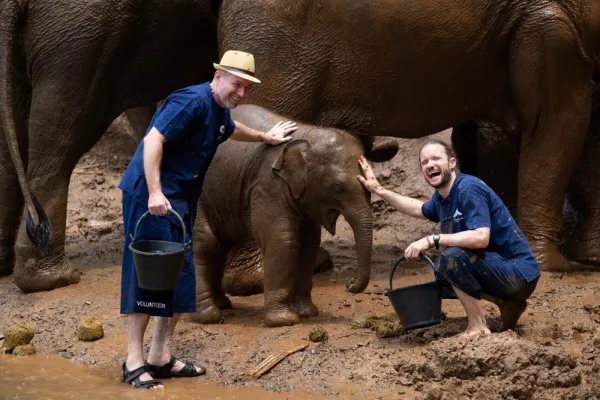 Chiang Mai Elephant Care - Thailand