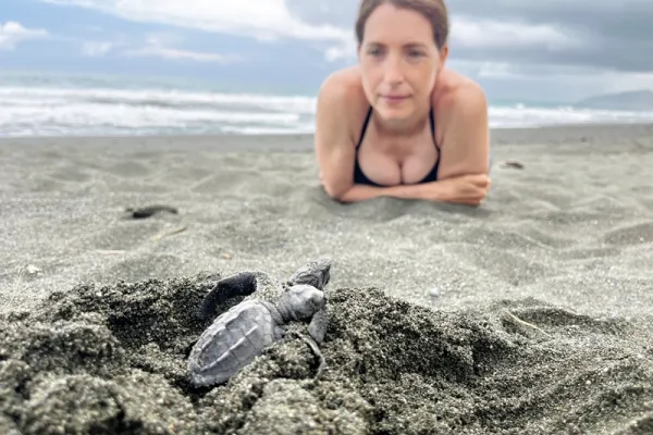 Environment and Turtle Conservation Osa Peninsula - Costa Rica Environment and Turtle Conservation Osa Peninsula - Costa Rica