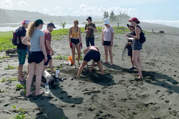 Environment and Turtle Conservation Osa Peninsula - Costa Rica Environment and Turtle Conservation Osa Peninsula - Costa Rica
