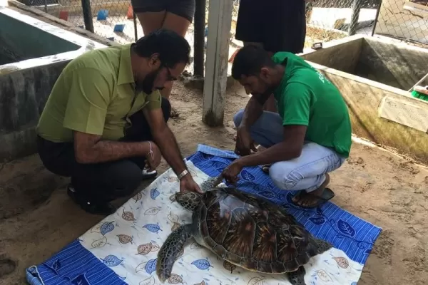 One Week Special - Sri Lanka