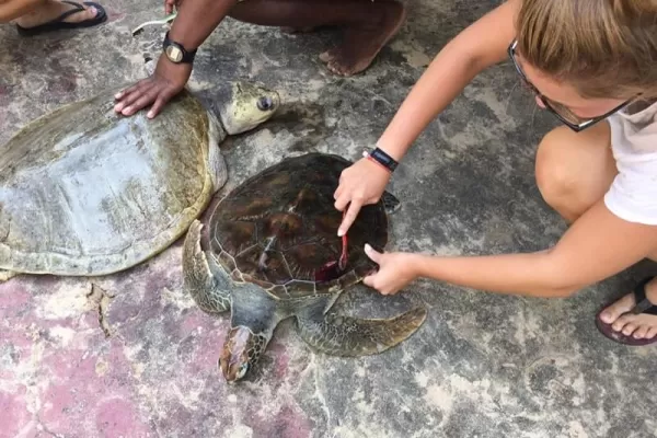 One Week Special - Sri Lanka