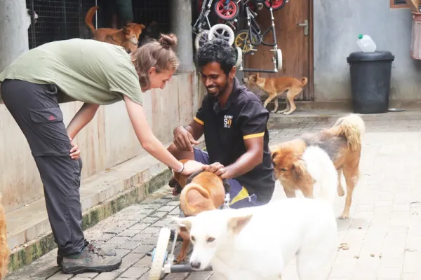 Dog Care Project - Sri Lanka