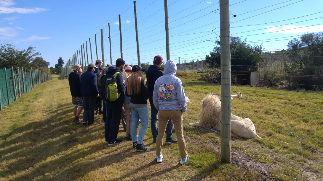 Wildlife Volunteer Project in South Africa