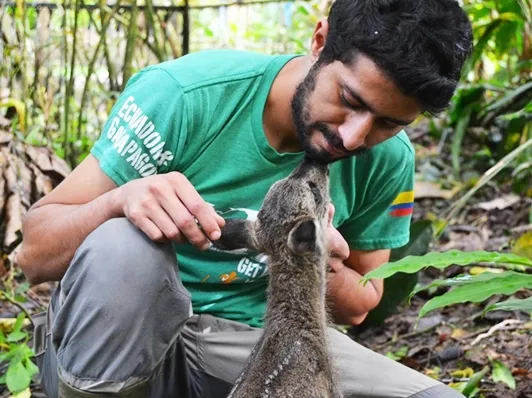 Volontario des Centro di Resgate de Animais aus Amazonien in Ecuador