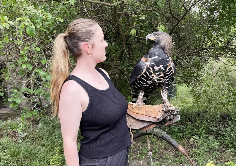 Programma voor Erhaltung en Sanierung der Aves de Rapina do Quênia