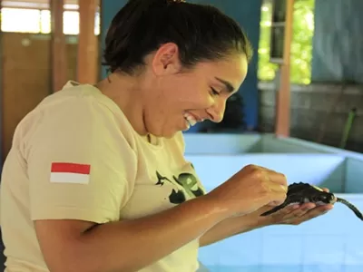 Project voor de Erhaltung der Tartarughe op Bali