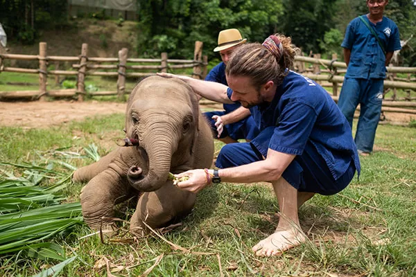 Wildlife Conservation Volunteer Abroad Programs