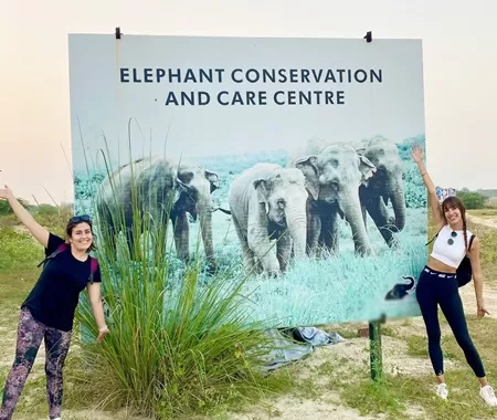 Esperienza di volontariato met gli olifant en cura dei cuccioli 