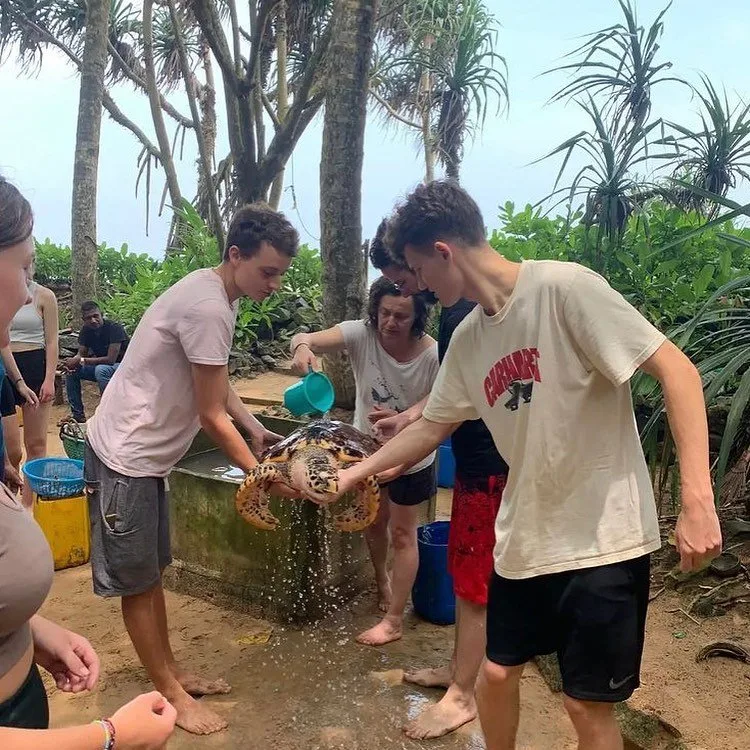 Best Wildlife Conservation Trips & Volunteer Abroad Programs