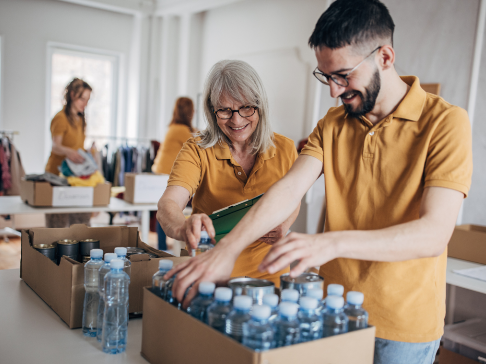 Recherche zur Freiwilligenorganisation