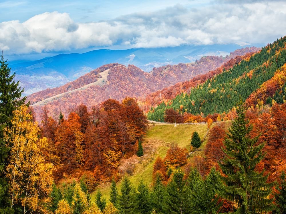 Attività di volontariato in autunno (settembre-novembre)