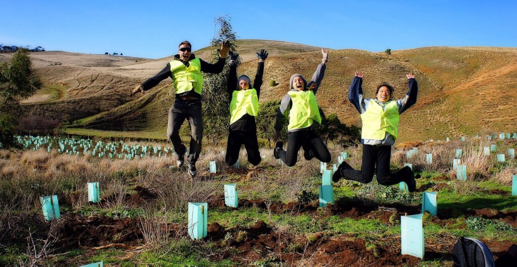 Welche Vorteile bietet Freiwilligenarbeit im Naturschutz im Ausland?