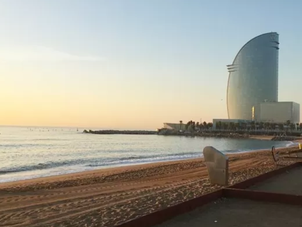 3 der besten Freiwilligenprojekte in Barcelona für 2026