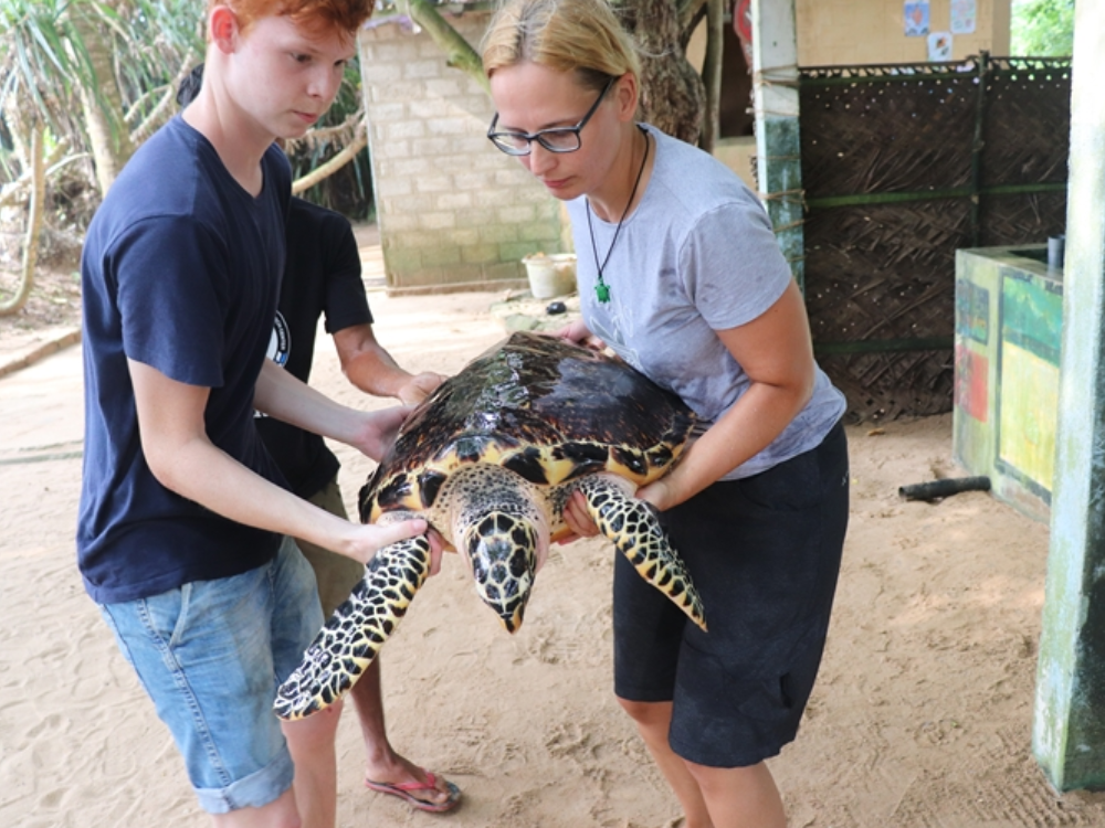 Projeto de Conservação Ambiental no Sri Lanka