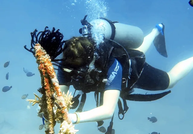 North Bali Coral Reef Restoration and Scuba Diving Volunteer Program