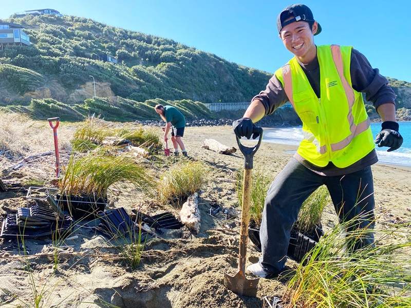 Freiwilligenarbeit in Neuseeland