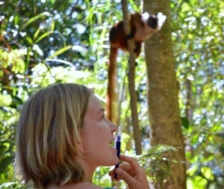 Forest Conservation Volunteer Program