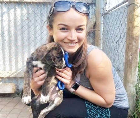 Animal Rescue & Rehabilitation Project