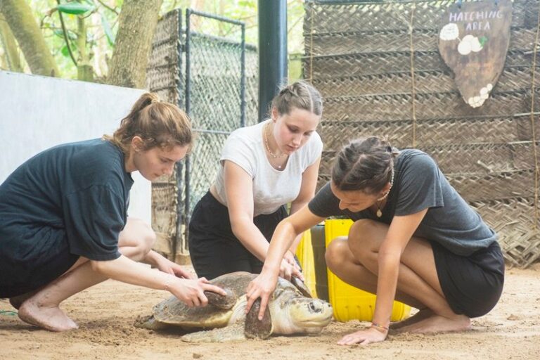 A marine conservation volunteer in Sri Lanka