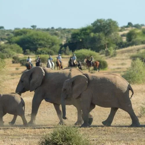 2 Day Weekend Wildlife Safari