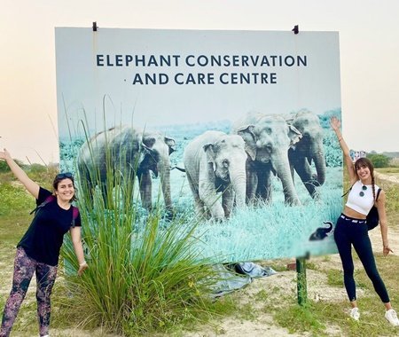Childcare & Elephant Volunteer Experience India