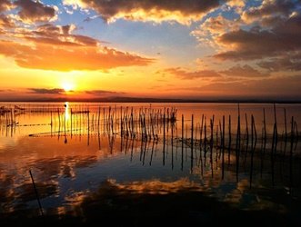 Albufera-Valencia