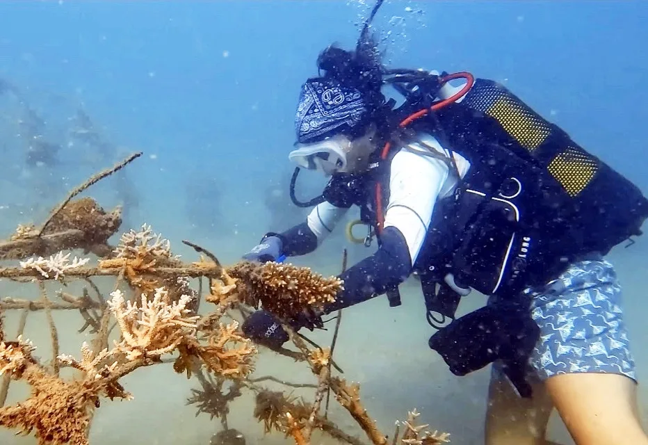 Marine Conservation Volunteering Programme