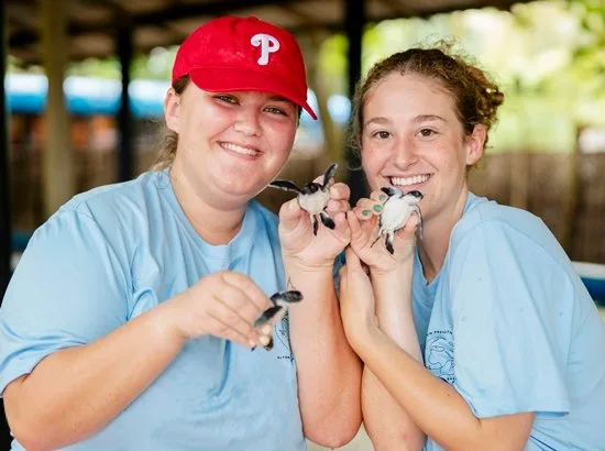 Sea Turtle & Marine Conservation Project
