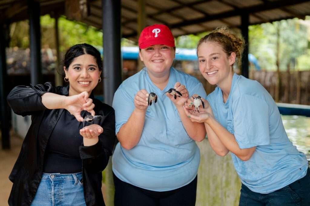 Volunteer in Sri Lanka