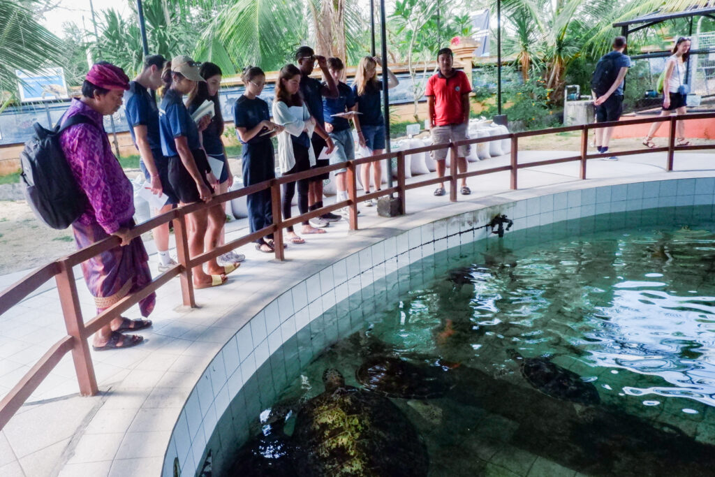 A group of volunteers at a marine turtle conservation project