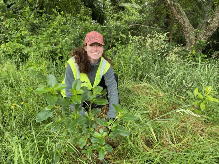 Volunteer in a hi-vis vest planting a native tree on a conservation project in New Zealand