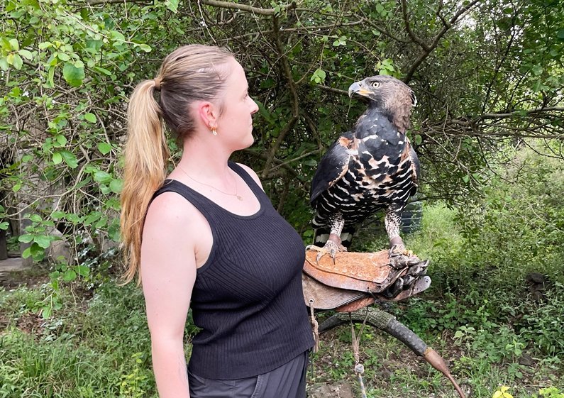 Kenya Raptor Conservation & Rehabilitation Program