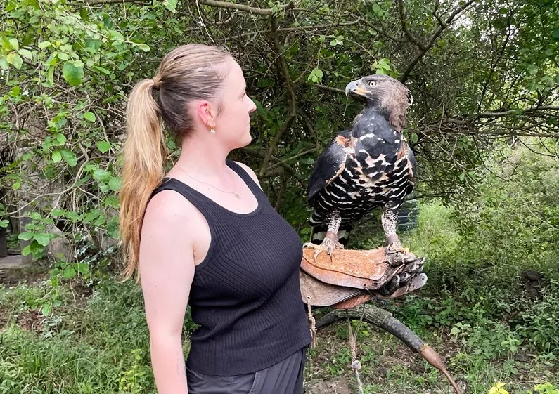 Kenya Raptor Conservation & Rehabilitation Program