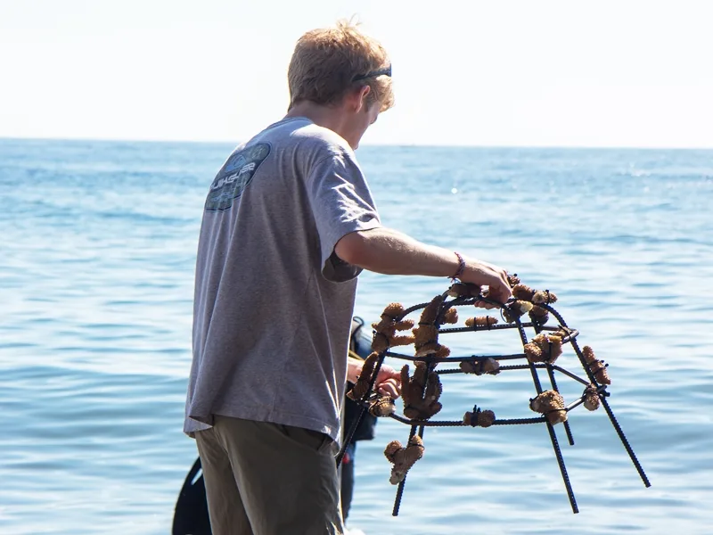 Volunteer Marine Conservation Programme in Bali