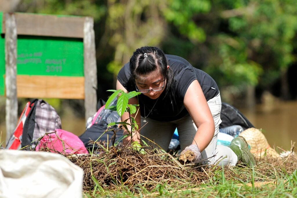 Volunteer in Malaysia