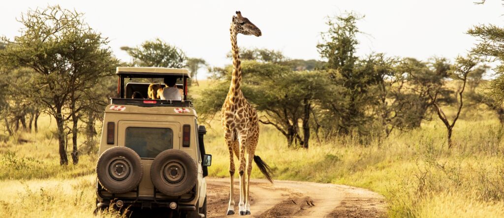 4 Day Tarangire National Park, Serengeti National Park, Ngorongoro Crater Safari