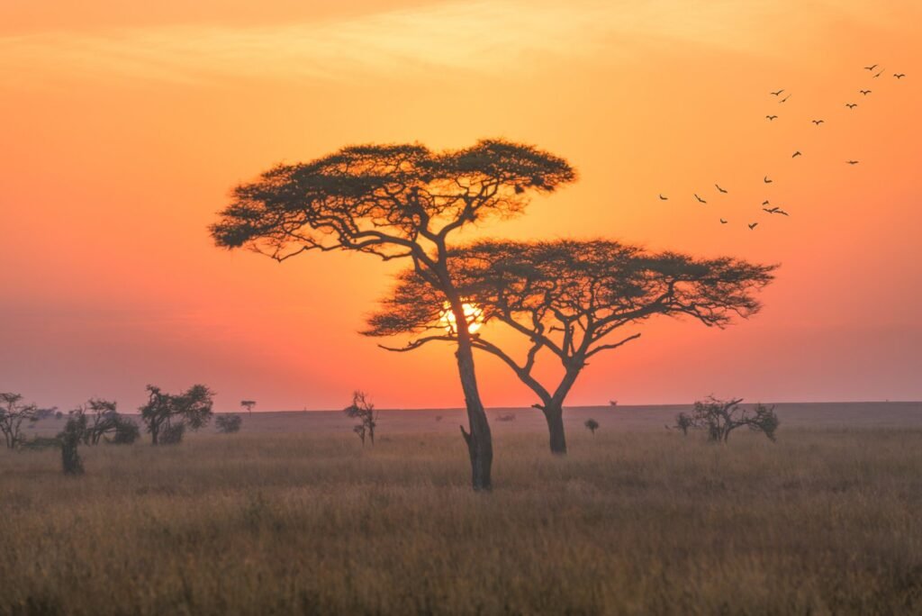 3 Day Tarangire National Park, Ngorongoro Crater, Lake Manyara