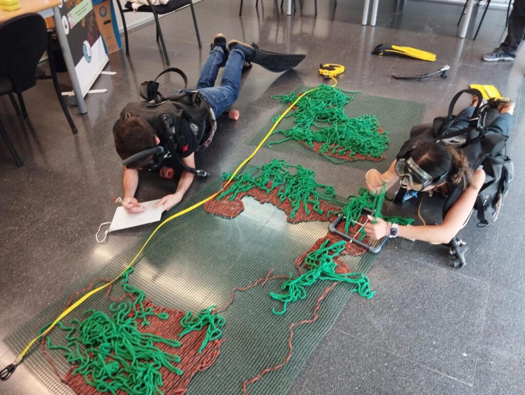 Environmental & Marine Conservation Volunteering in Valencia