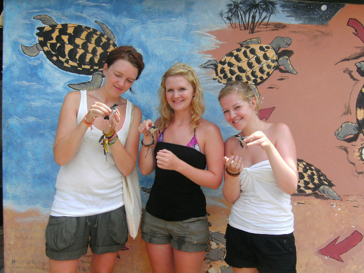 Bénévolat auprès des tortues marines
