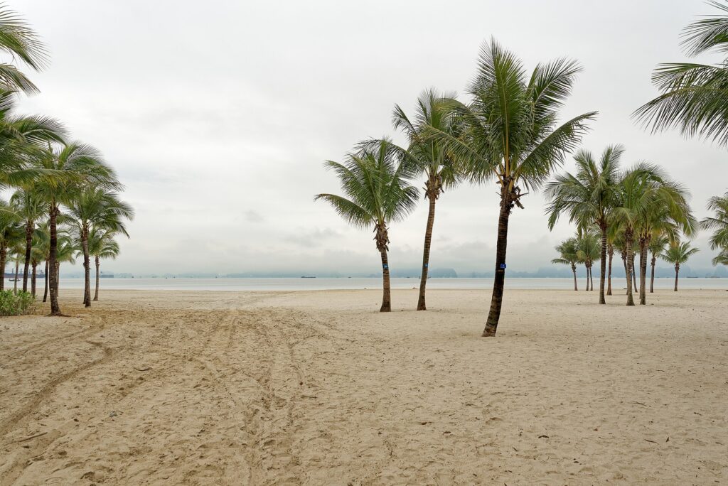 Travel in Vietnam
