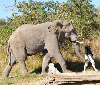 volunteer and tour in cape town