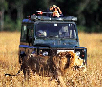 voluntários em safári no Masai Mara